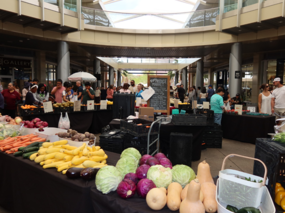Fresh produce on display at the Downtown Summerlin Farmers Market — carrots, cabbages, squash, peppers, and more under the Pavilion