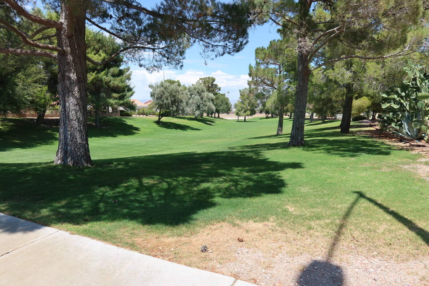 Mature pine trees lining a green golf course fairway in Sun City Summerlin Las Vegas