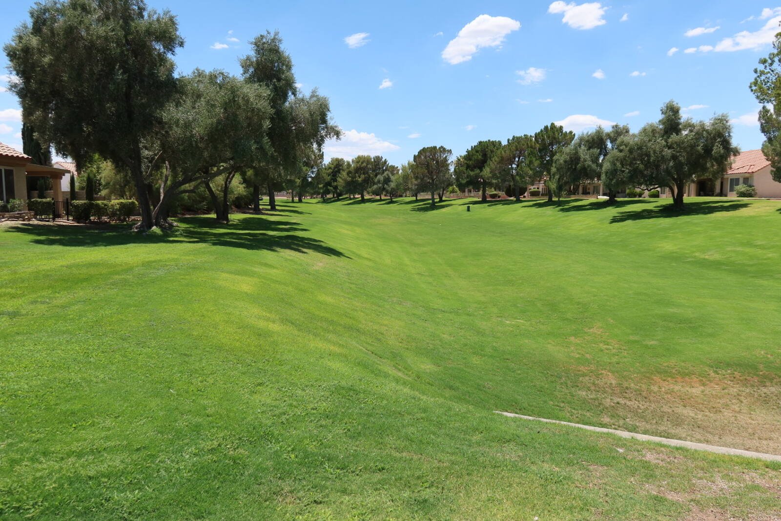 Homes backing a green golf course fairway in Sun City Summerlin, Las Vegas