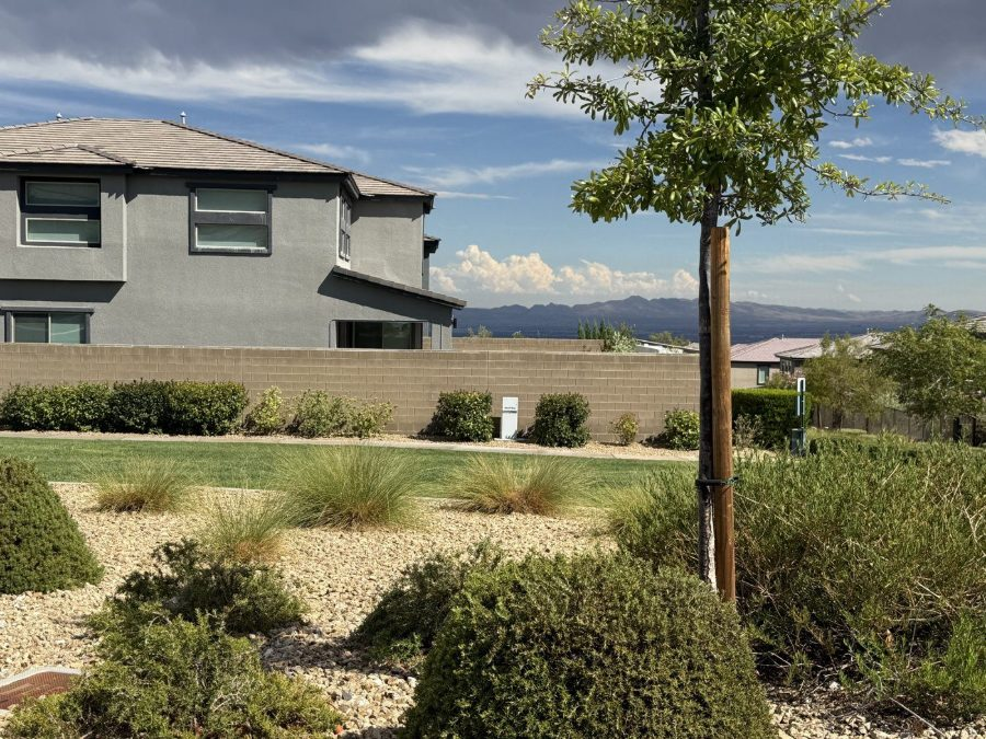 A newly built two-story home and streetscape in Stonebridge, Summerlin