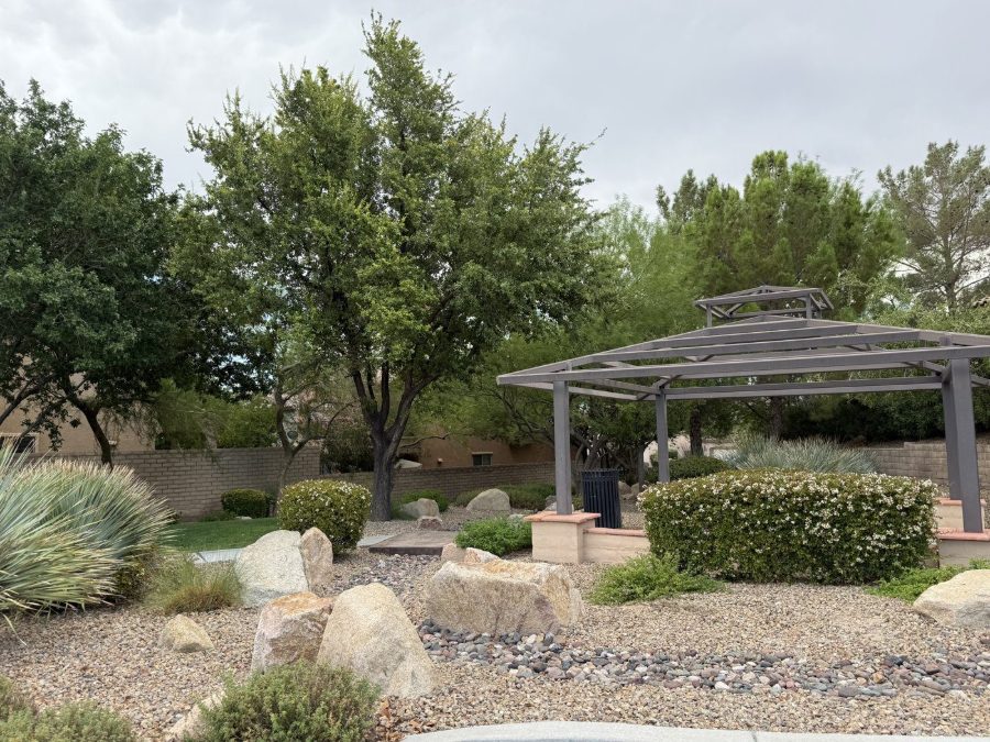 A shaded ramada and desert landscaping at a neighborhood park in The Paseos, Summerlin